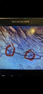 2003 P Maine Quarter DIE CHIPS on rocks and DDR errors. 🔥💥 - Picture 1 of 7