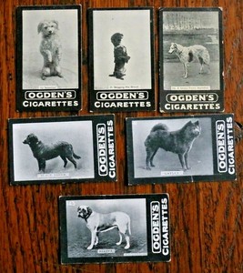 CHAMPION DOGS, 1902, D SERIES , GENERAL INTEREST , OGDENS TAB CIGARETTE CARDS