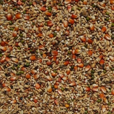 Matador Premium Detox 20 kg Futter für Brieftauben zur Entgiftung | auch als Kur - Bild 1 von 2