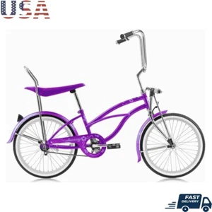 20 In Beach Cruiser Bike Single Speed Coaster Brake Banana Seat Lowrider Purple - Picture 1 of 3