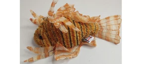 9" Ganz Webkinz Lionfish Scorpianfish Red Orange Black NO CODE plush (E2) - Picture 1 of 7