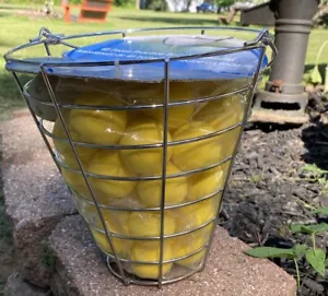 Intech 48 Yellow Foam Golf Balls with Metal Range Basket - Picture 1 of 4
