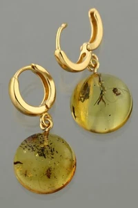 Fossil Insect BALTIC AMBER Cabochon Gold Plated Silver Earrings 3.3g 241114-7 - Picture 1 of 6