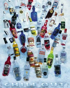 Póster de botellas de vodka chill out 16x20 - Imagen 1 de 1