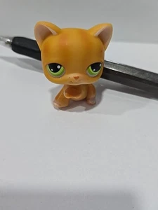 LPS Littlest Pet Shop #11 orange Kurzhaar Katze mit grünen Augen 2004 - Bild 1 von 4