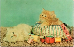 um 1950, Ein Stich in der Zeit rettet neun, süße Katzen, schöne Vintage Karte - Bild 1 von 2