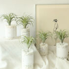 Artificial Bromeliads Grass Air Plants Fake Succulents Flowers Home Decoration