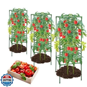 MQHUAYU 3 Pack Tomato Cages,Square Tomato Plant Stakes Support Cages Trellis  - Picture 1 of 5