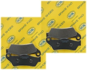 PASTILLAS DE FRENO DELANTERAS aptas para APRILIA SRV 850 2012-2019 SRV850 - Imagen 1 de 2