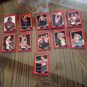 1991 WCW Wrestling Trading Cards  DOOM Lot Of 11 - Picture 1 of 7