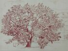 Fruit Trees Red Ink 13 1/2 x 20 Inch Drawing-Circa 1960s/70s-August Mosca