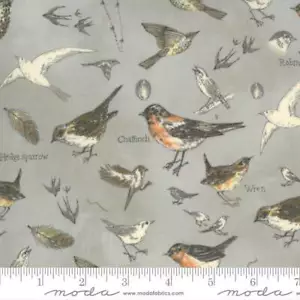 Botanicals 16910-12 Moda Fabrics Birds In Nature Vintage Grey Janet Clare - Picture 1 of 2