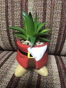 New Disney Snow White Seven Dwarfs GRUMPY Mini Faux Succulent Plant - Picture 1 of 7