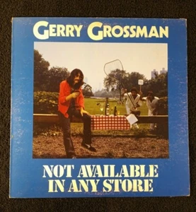 VINYL LP EX GERRY GROSSMAN Not Available in Any Store Hippo-Ray HR 1114 - Picture 1 of 6