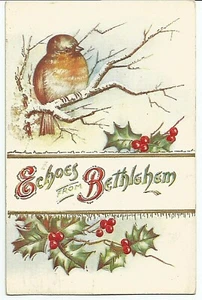 Postcard Echoes From Bethlehem Bird in Tree Branch Christmas Posted 1912 - Picture 1 of 2