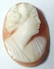 NOS Antique Vintage Oval Shell Cameo Stone Facing Right 13.5 mm x 9.5 mm #MB228A