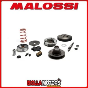 6119262 GRUPPO TRASMISSIONE OVERRANGE MALOSSI PIAGGIO SI 50 2T DA ABBINARE ESCLU