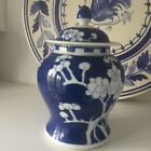 Blue And White Temple Ginger Jar Cherry Blossom