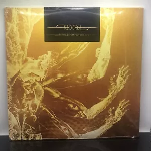 Tool Fear Inoculum LP (2022) NEU im Paket - Bild 1 von 10