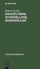 Manteltiere, Schdellose, Rundmuler von Hubert Fechter Hardcover Buch