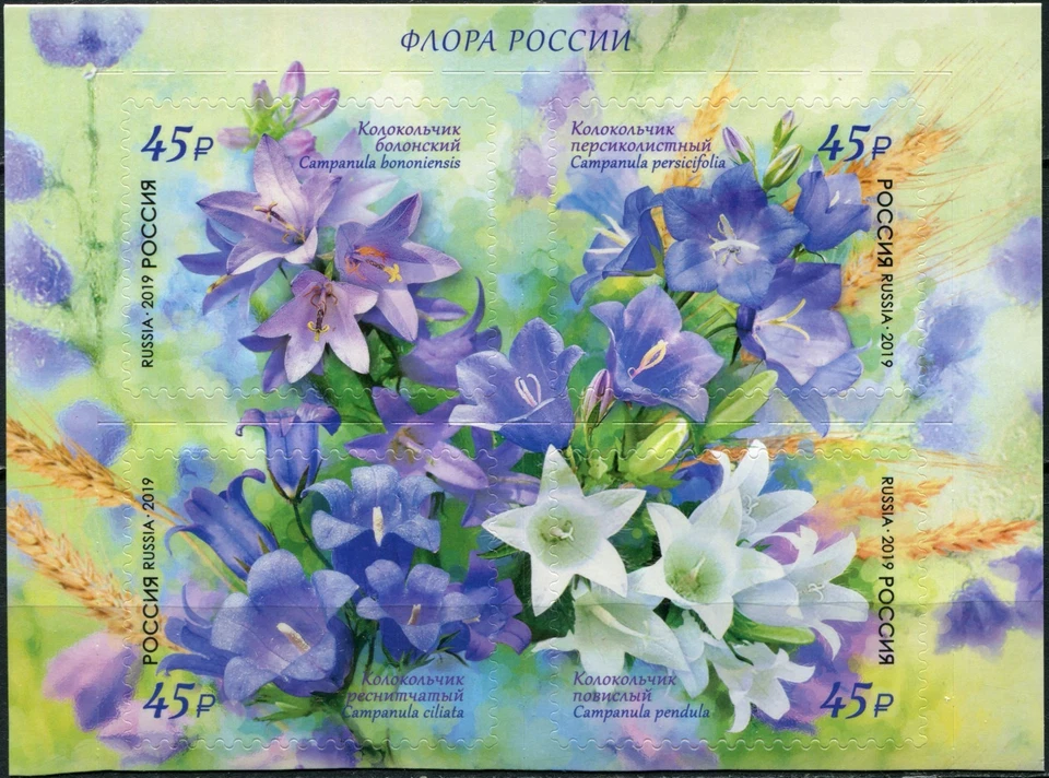 Russia 2019 Bellflower (MNH OG **) block of 4 stamps - Image 1 of 1