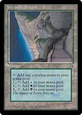 1x   Wizards' School  Homelands card MTG Magic the Gathering