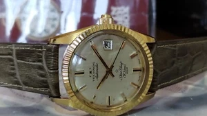 Technos Antigo Automatico Star Chief 30 Rubis 200 M Raro coleção anos 70 eta2472 - Picture 1 of 14