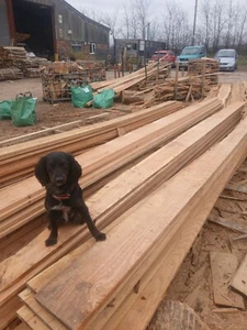 waney edge cladding. One waney edge. - Picture 1 of 7
