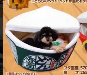 Donbei Haustierbett Japanisch Udon Nisshin Spielzeug Katze Hund 2022 Plüsch P... - Bild 1 von 8