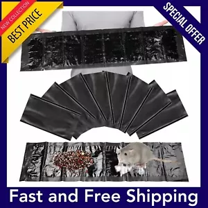 8 Pack SUPER Sticky LARGE Mouse Mice Rat Glue Pest Trap Boards Insect Catcher!!! - Picture 1 of 12