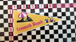 Retro Exmouth Beach Devon Holiday Pennant  - Classic Car Glass Travel Sticker - Picture 1 of 1