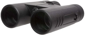 SIG SAUER Buckmaster 10x42mm Roof Prism Binoculars, Black, SOBM10421 - Picture 1 of 8