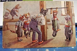 SGD--Original Arthur Theile "Katzen in der Turnhalle"---Versand 1927 - Bild 1 von 2