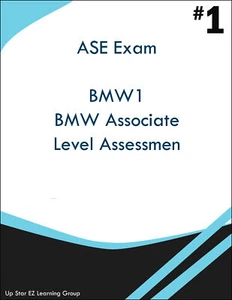 ASE BMW 1 BMW Associate Level Assessment - Bild 1 von 1