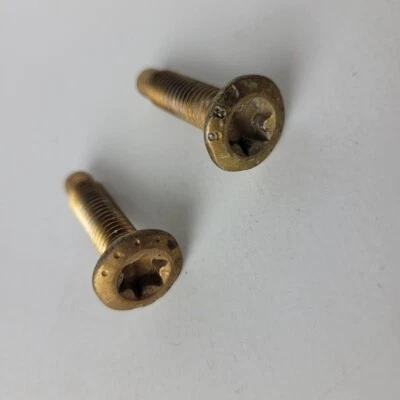 Dodge Ram 1500 2500 2004-2006 juego de 2 tornillos de golpe de puerta Torx dorado OEM Foto 1 de 3