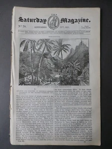 Samstagszeitschrift 21. September 1833 - Polynesien, Gezeiten, Arbeitsteilung ++ - Bild 1 von 1