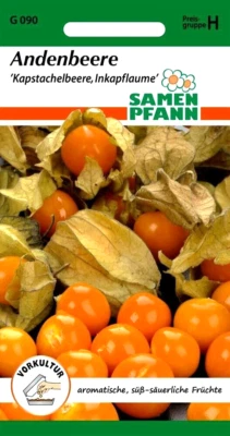 Andenbeere - aromatische Früchte - Inkapflaume Kapstachelbeere Physalis - Samen - Bild 1 von 2