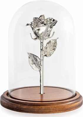 Encantado | Conservado con rosa de plata real dura para siempre | Incluye madera maciza Foto 1 de 4