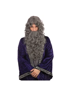 Wizard Wig & Beard Set Grey Long Curly Grey Wig Adults Fancy Dress Accessory - Picture 1 of 1