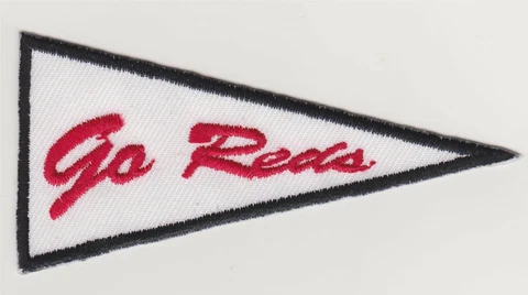 Cincinnati Reds GO REDS Pennant 3 1/4" Embroidered Iron On Patch *New* #367 Cover
