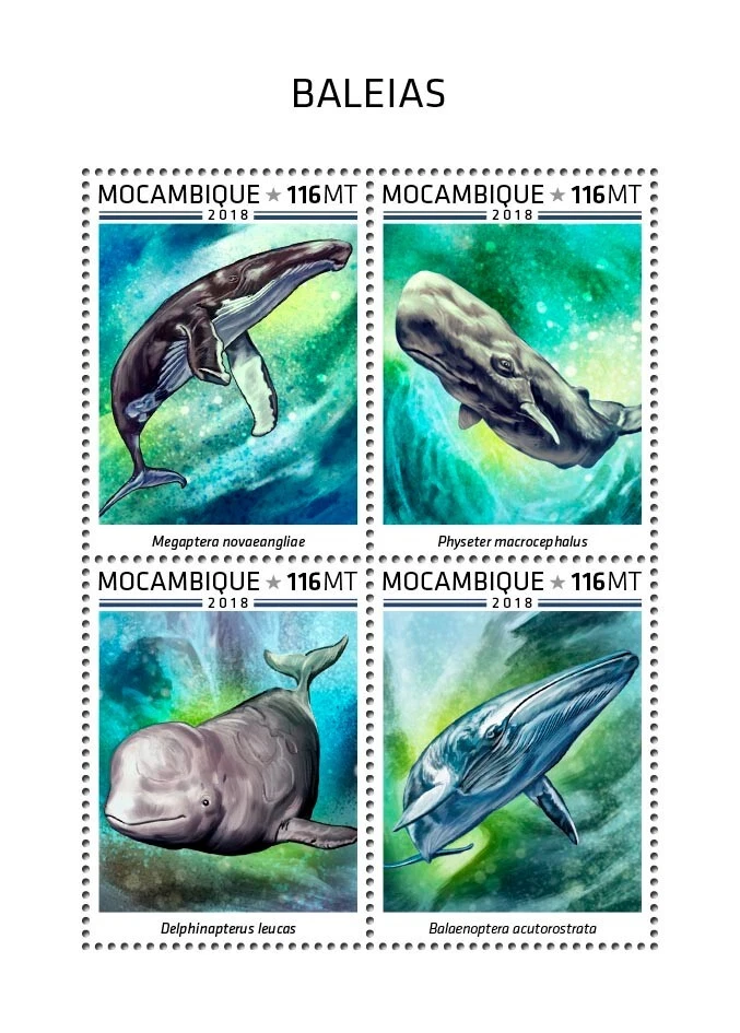 Whales MNH Stamps 2018 Mozambique M/S - Image 1 of 1