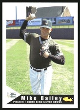 1994 South Bend Silver Hawks Classic #2 Mike Bailey