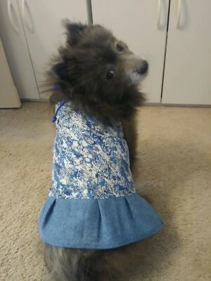 Vestido para perro - azul y blanco Splash - L Foto 1 de 4