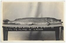 1923 Willow Lake, North Dakota - REAL PHOTO Fishing, Large Fish on Table