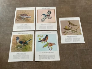 5 Birds of Canada poster prints The Star Weekly 1959 Fenwick Lansdowne - Picture 1 of 7
