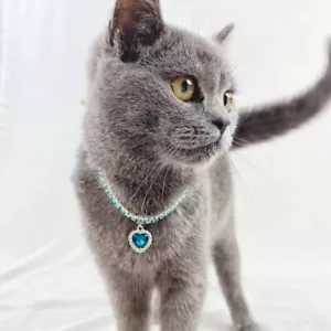 Pet Accessory For Dog Cat Collar Necklace Puppy Crystal Rhinestone - Picture 1 of 3
