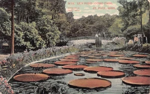 Postkarte postfrisch: Lily Pond, Como Park, St. Paul, Minnesota, antik verschickt 1908 - Bild 1 von 3