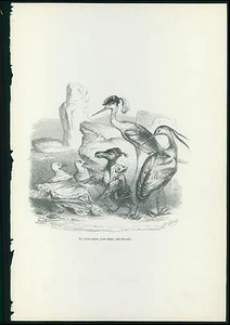 GRANDVILLE antique Lithograph print Dressed ANIMALS paint by themselves birds - Picture 1 of 2