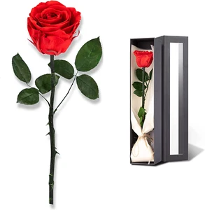 Flowers for Delivery Prime, Preserved Roses Flower Gifts for Women, Real Roses S - Picture 1 of 12