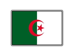 #1183 Bandera de Argelia Mundo País Pegatina Impermeable Vinilo Calcomanía Troquelada Coche - Imagen 1 de 1